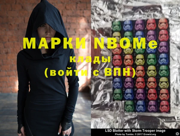 индика Баксан
