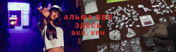 ПСИЛОЦИБИНОВЫЕ ГРИБЫ Балабаново