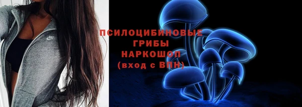 индика Баксан