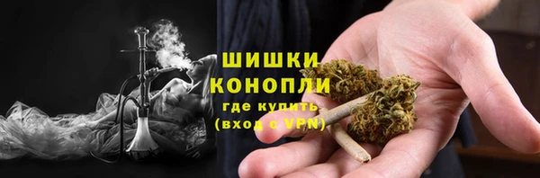 индика Баксан
