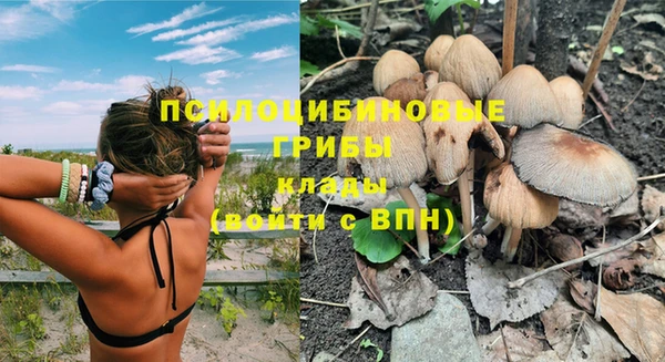ПСИЛОЦИБИНОВЫЕ ГРИБЫ Балабаново