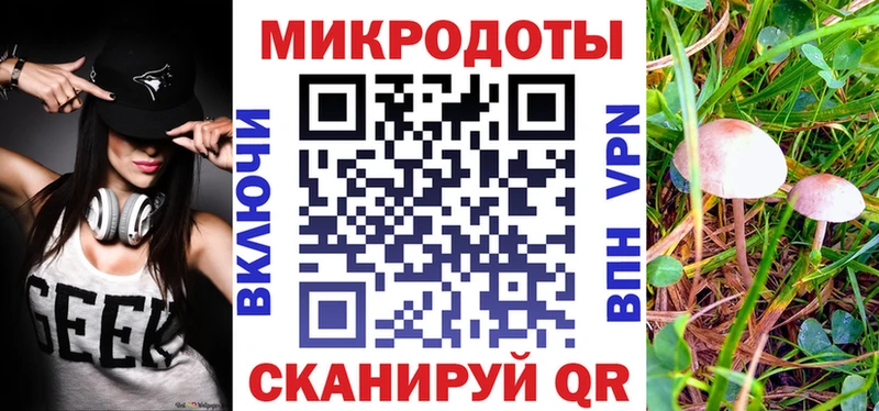 Псилоцибиновые грибы Psilocybine cubensis где можно купить Колпашево
