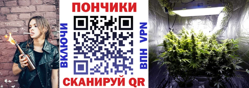 Бошки Шишки ГИДРОПОН Колпашево